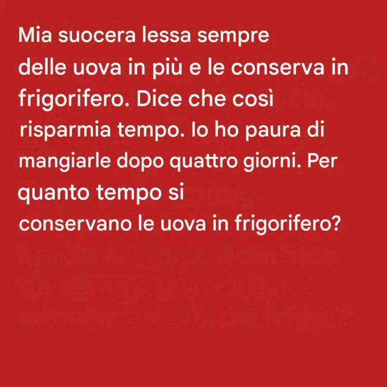 08d197d6-0218-4930-973e-b0dfbcf007fa-1