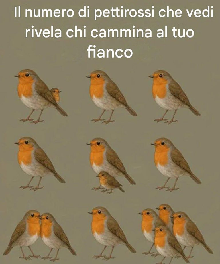 701437161_1545853176933376_2629422929994595032_n-1