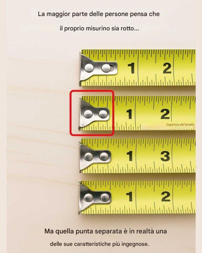 b30ce550-322e-4da9-8c4a-40991d9e6fe0
