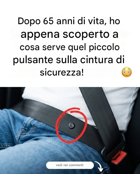 c8cde151-eb0d-4664-a636-d56c204f62981 c8cde151-eb0d-4664-a636-d56c204f62981