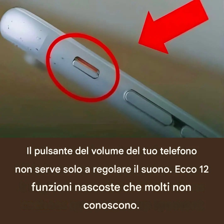 f393b4fb-3fc3-4658-98dc-287d4553e817