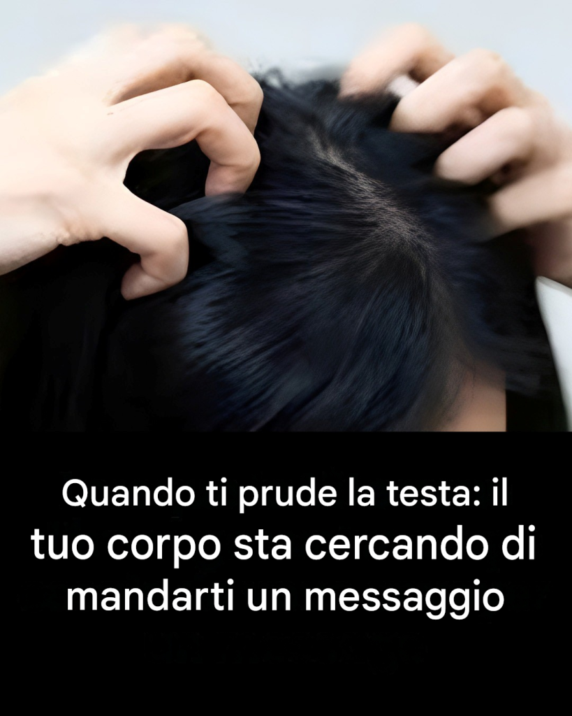 translated_image_it-2026-06-12T162339.744 translated_image_it-2026-06-12T162339.744