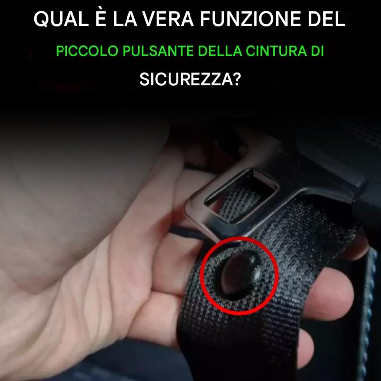 ziie